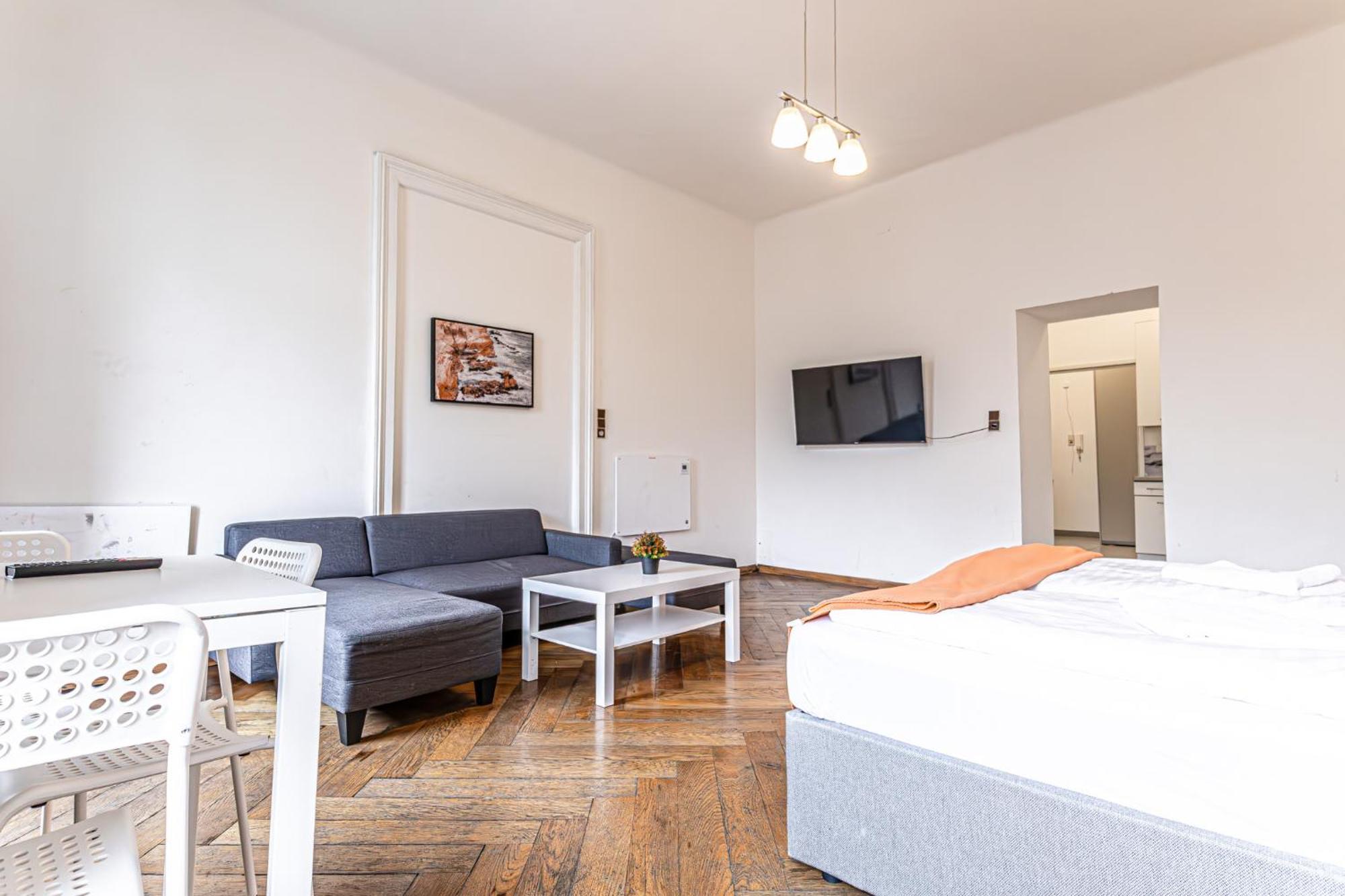 Two Charming Near Volksoper And Akh Apartment Wien